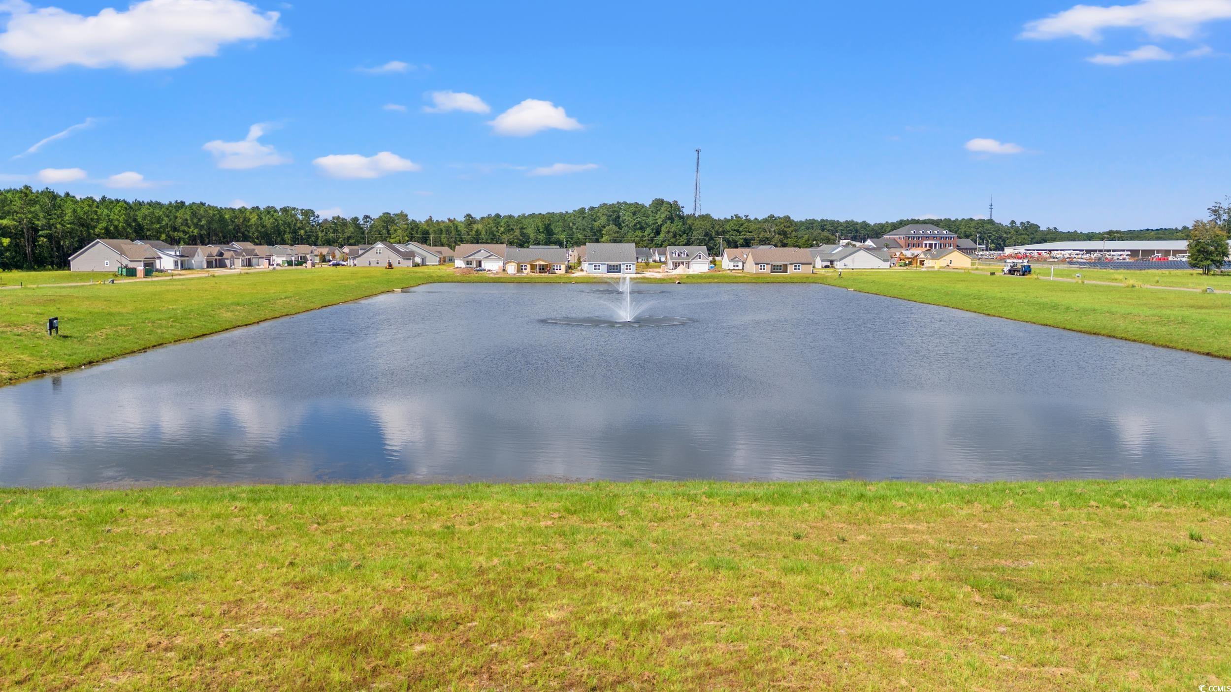 1218 Cypress Shoal Dr., Conway, South Carolina image 29