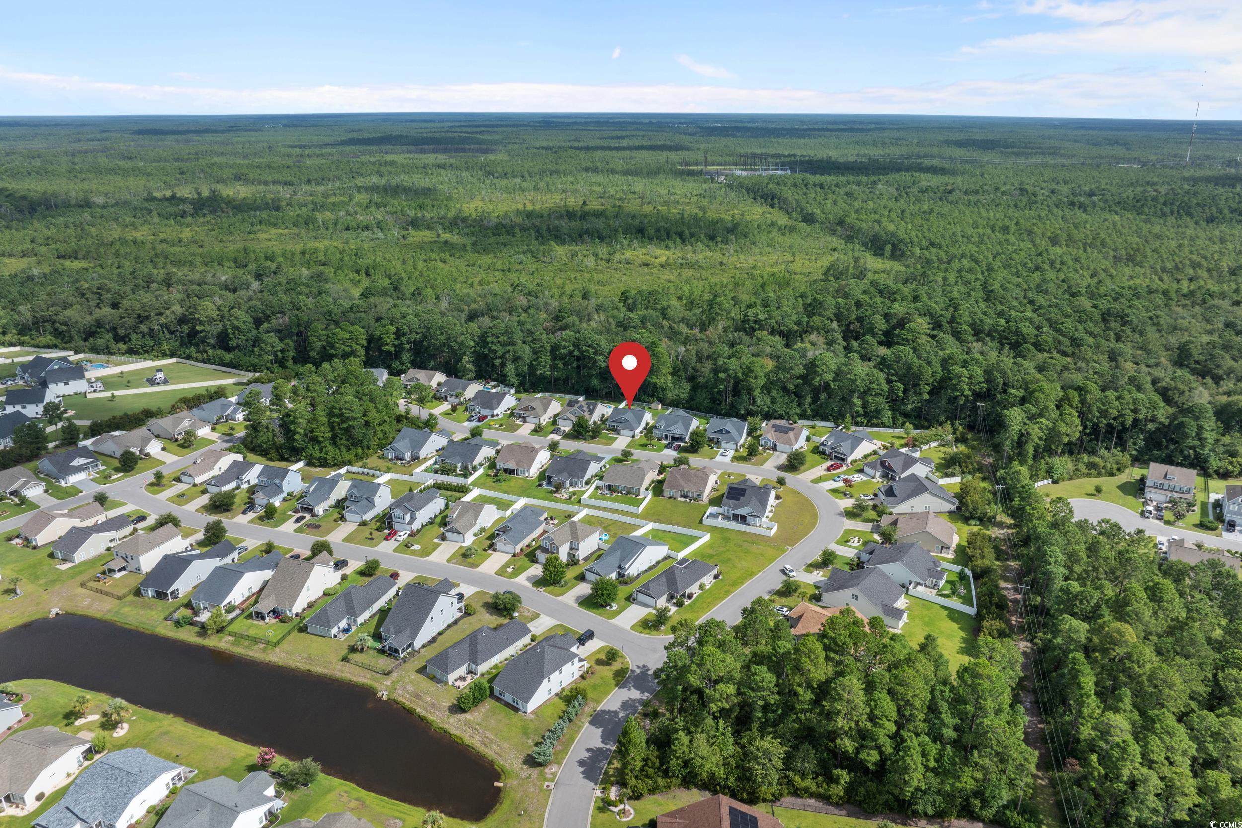 733 Old Castle Loop, Myrtle Beach, South Carolina image 37