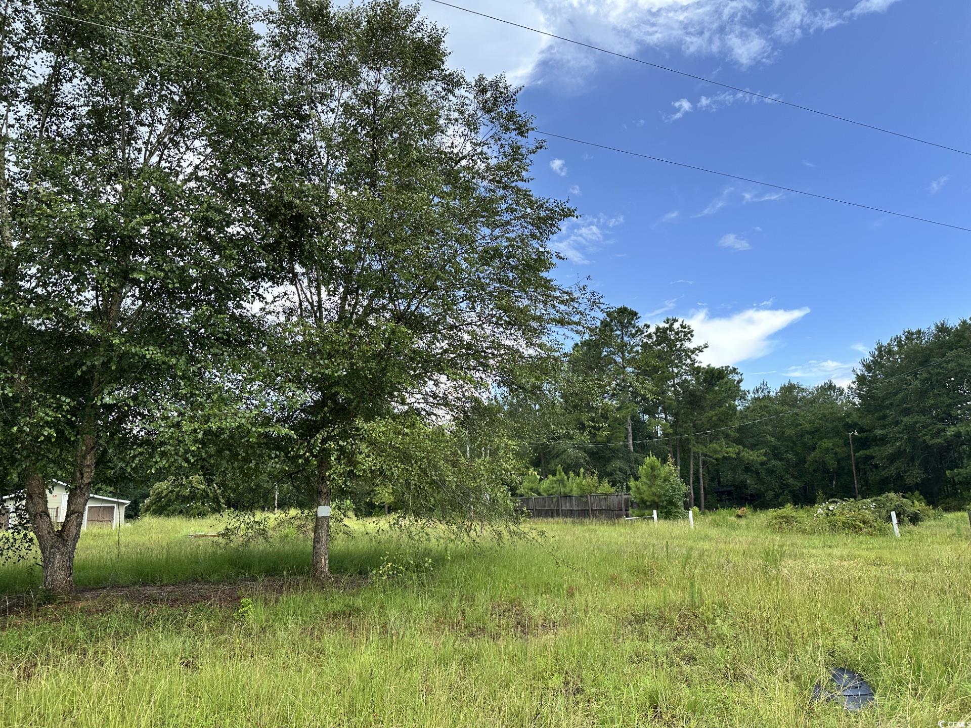 7023 New Bridge Rd. Nichols, SC 29581