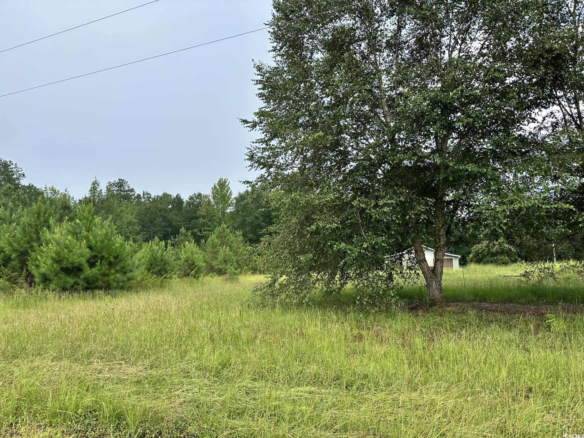 7023 New Bridge Rd., Nichols, South Carolina image 3