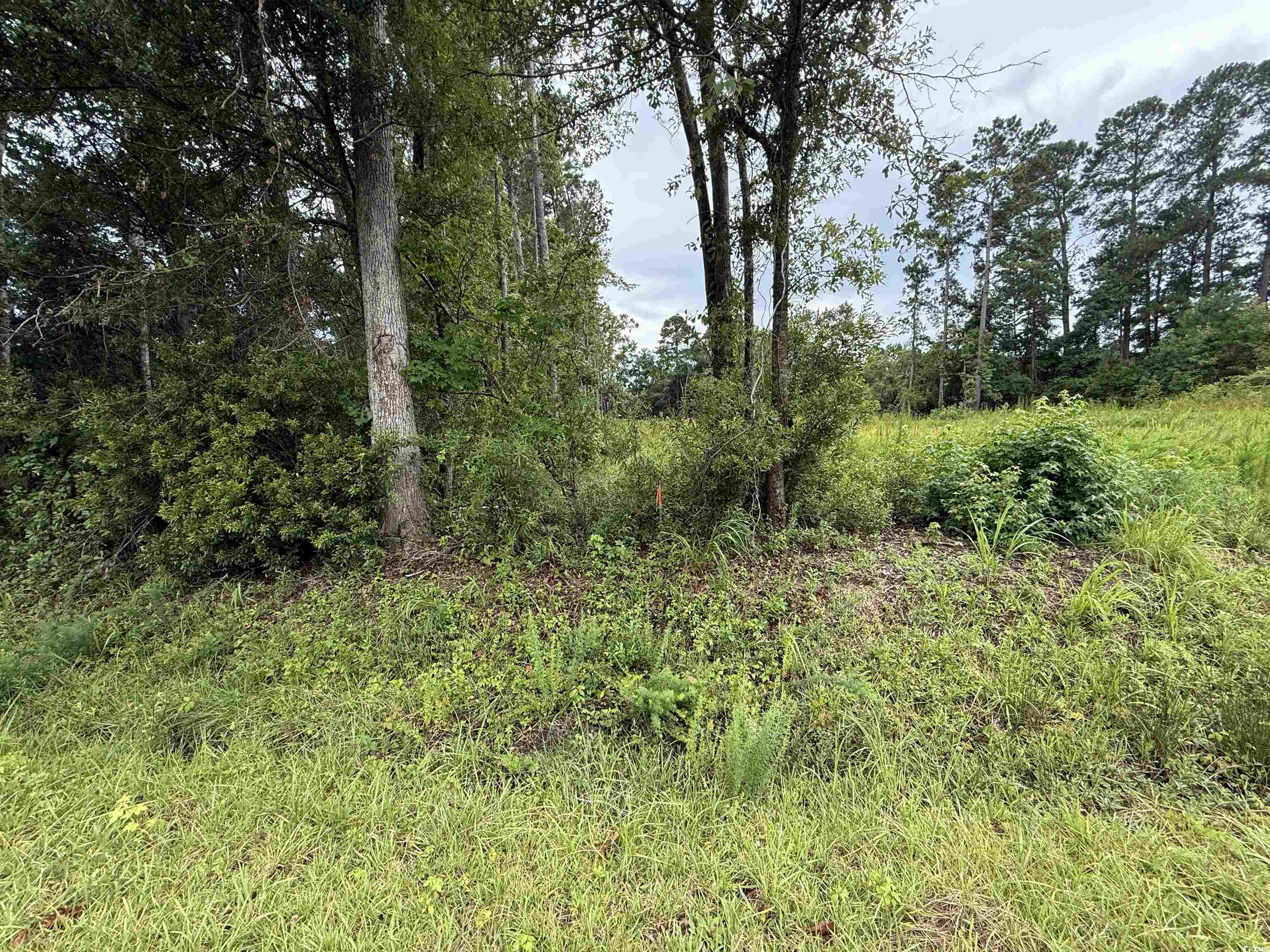 3082 Wise Rd., Conway, South Carolina image 5