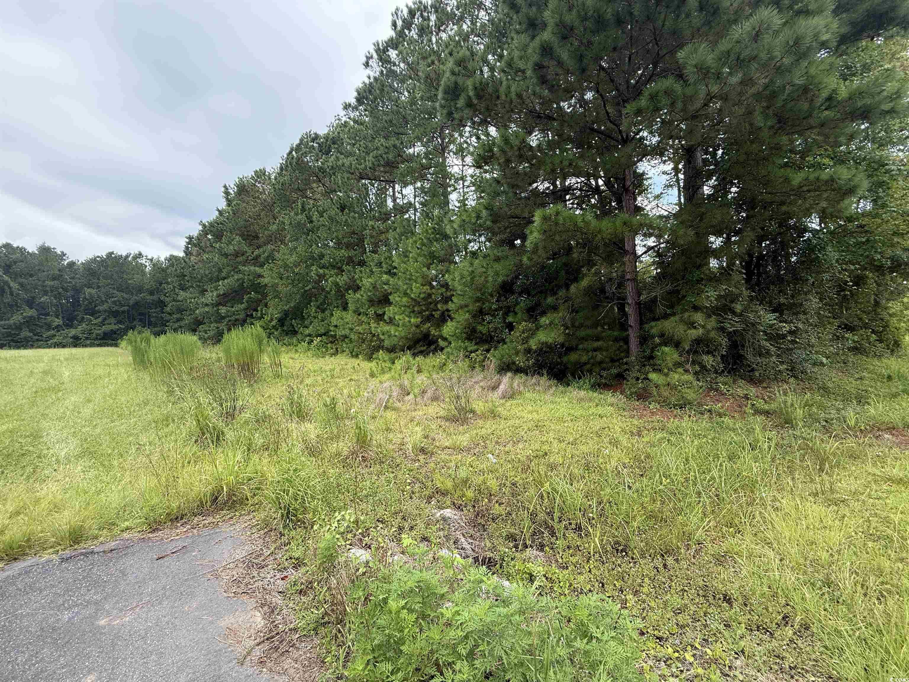 3082 Wise Rd., Conway, South Carolina image 6