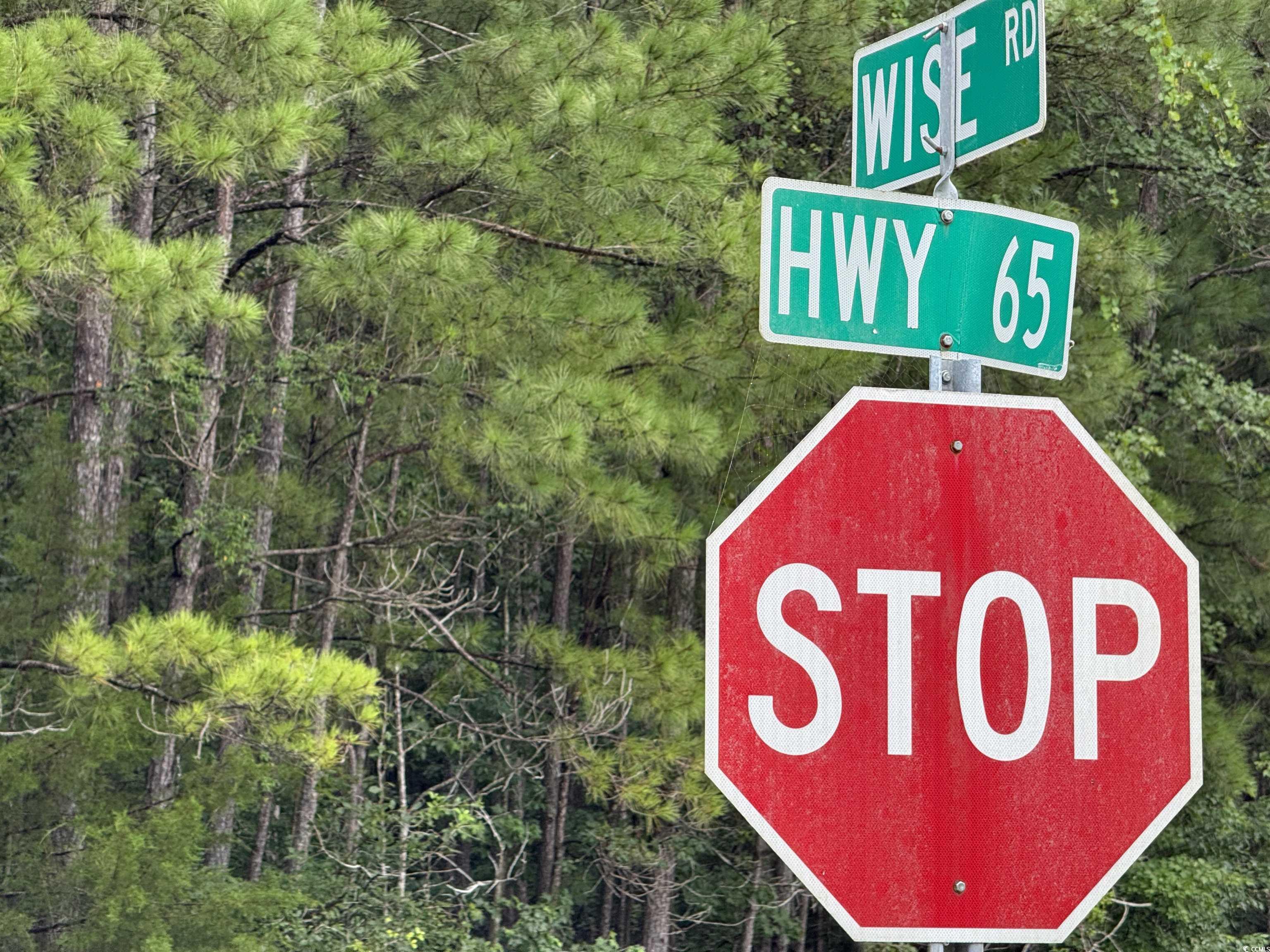 3082 Wise Rd., Conway, South Carolina image 7