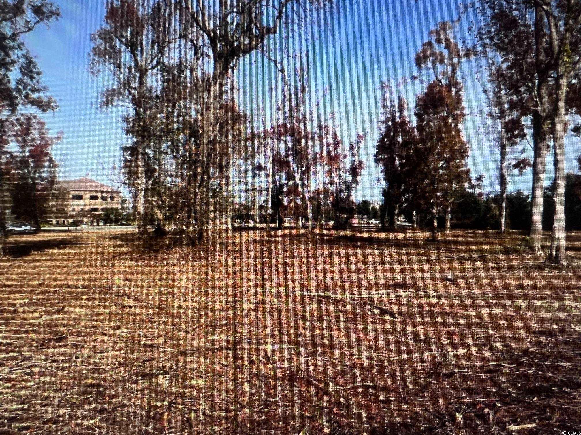 990 Robert M Grissom Pkwy., Myrtle Beach, South Carolina image 3