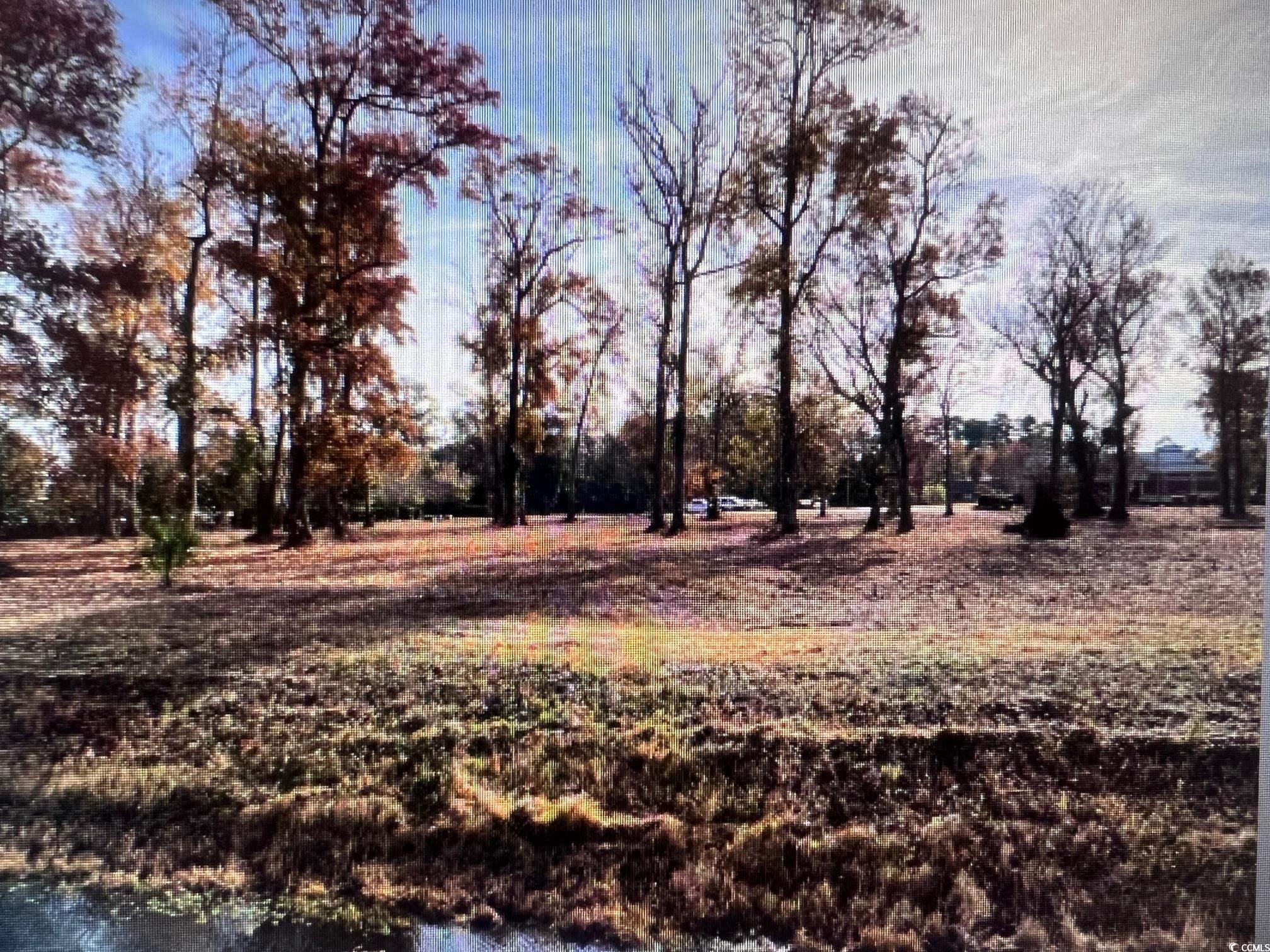 990 Robert M Grissom Pkwy., Myrtle Beach, South Carolina image 4
