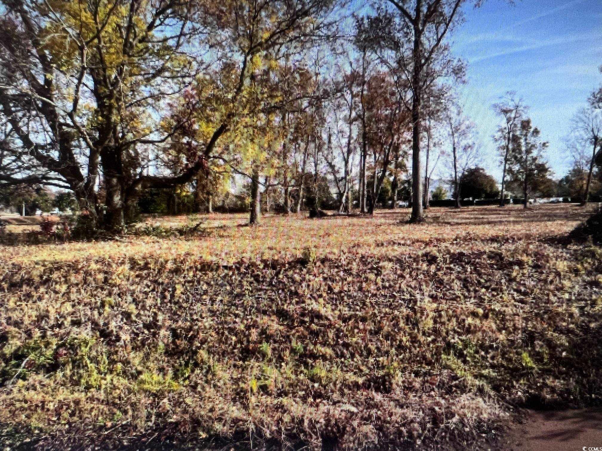 990 Robert M Grissom Pkwy., Myrtle Beach, South Carolina image 6