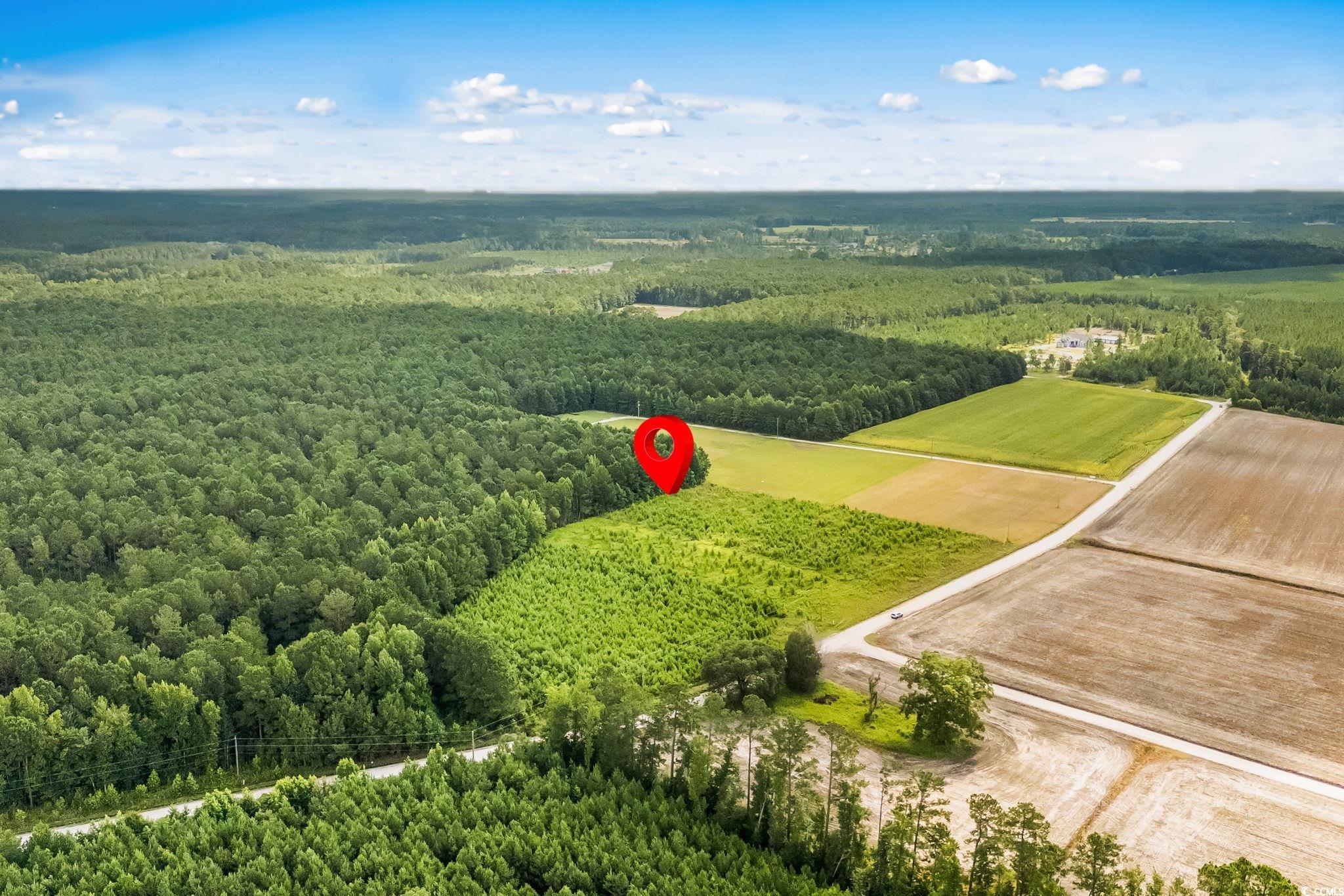 LOT 2 W G Rd., Conway, South Carolina image 11