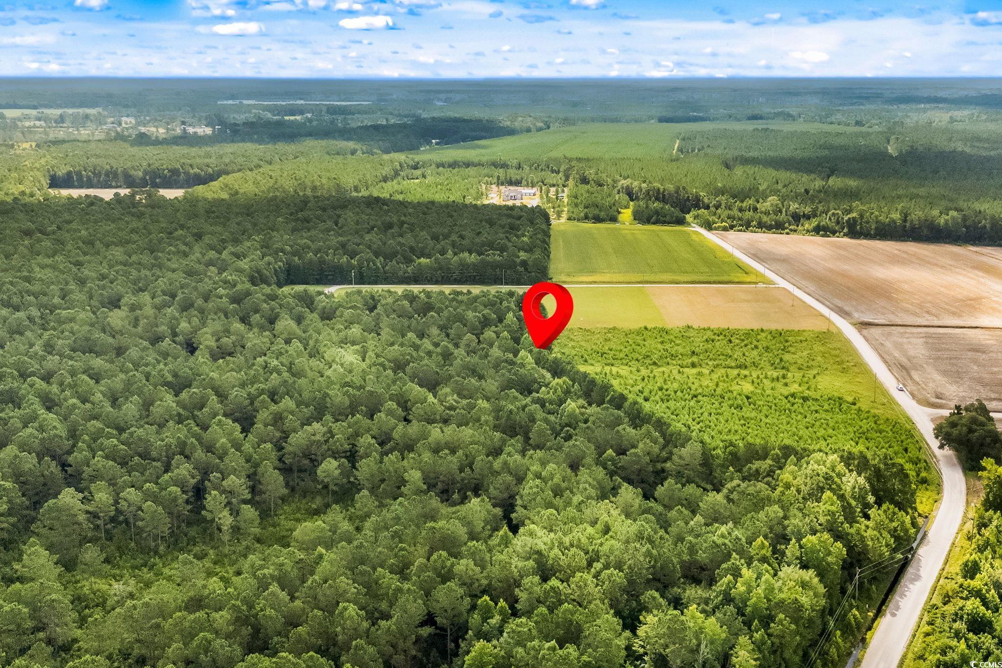 LOT 2 W G Rd., Conway, South Carolina image 15