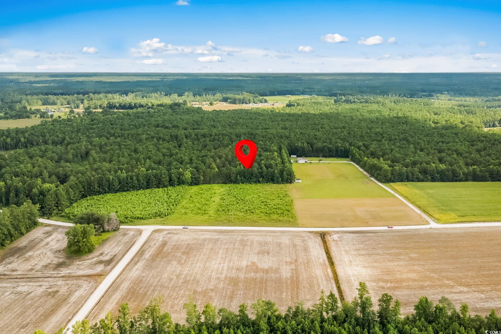 LOT 2 W G Rd., Conway, South Carolina image 16