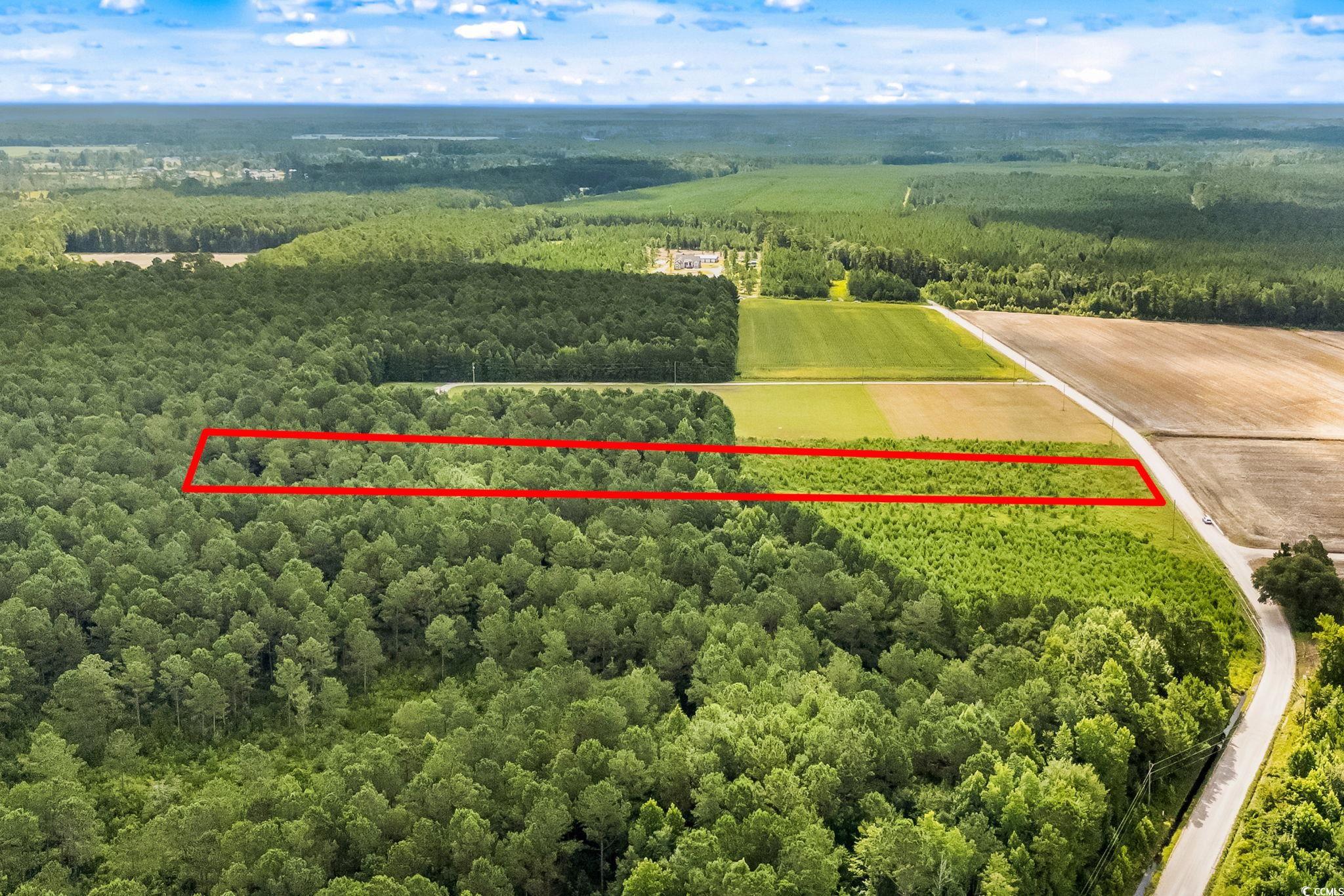 LOT 2 W G Rd., Conway, South Carolina image 3