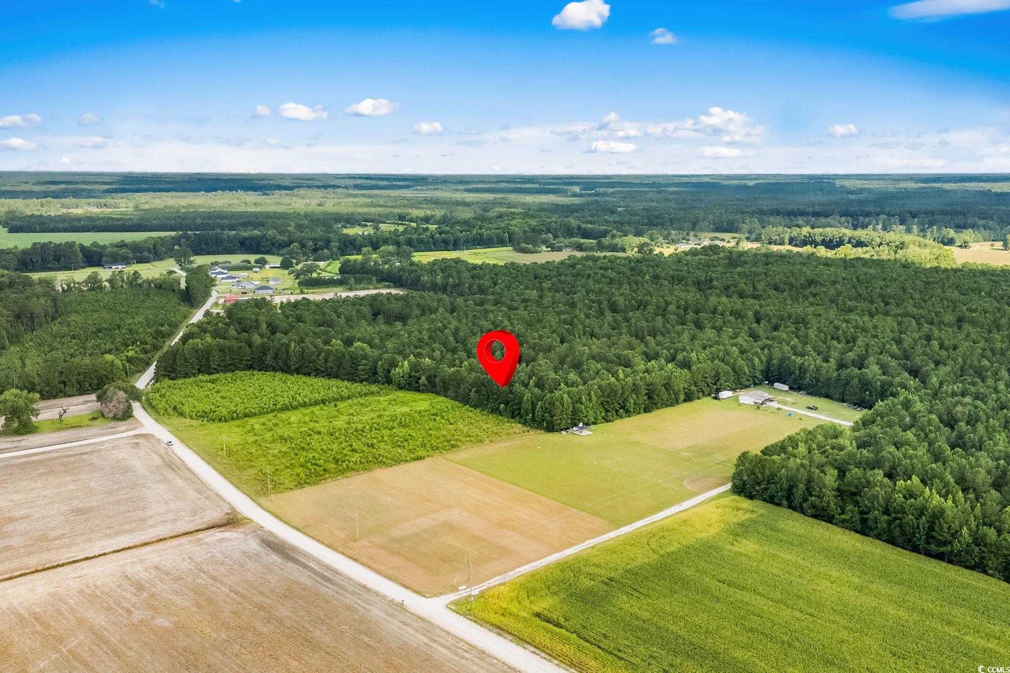 LOT 2 W G Rd., Conway, South Carolina image 4