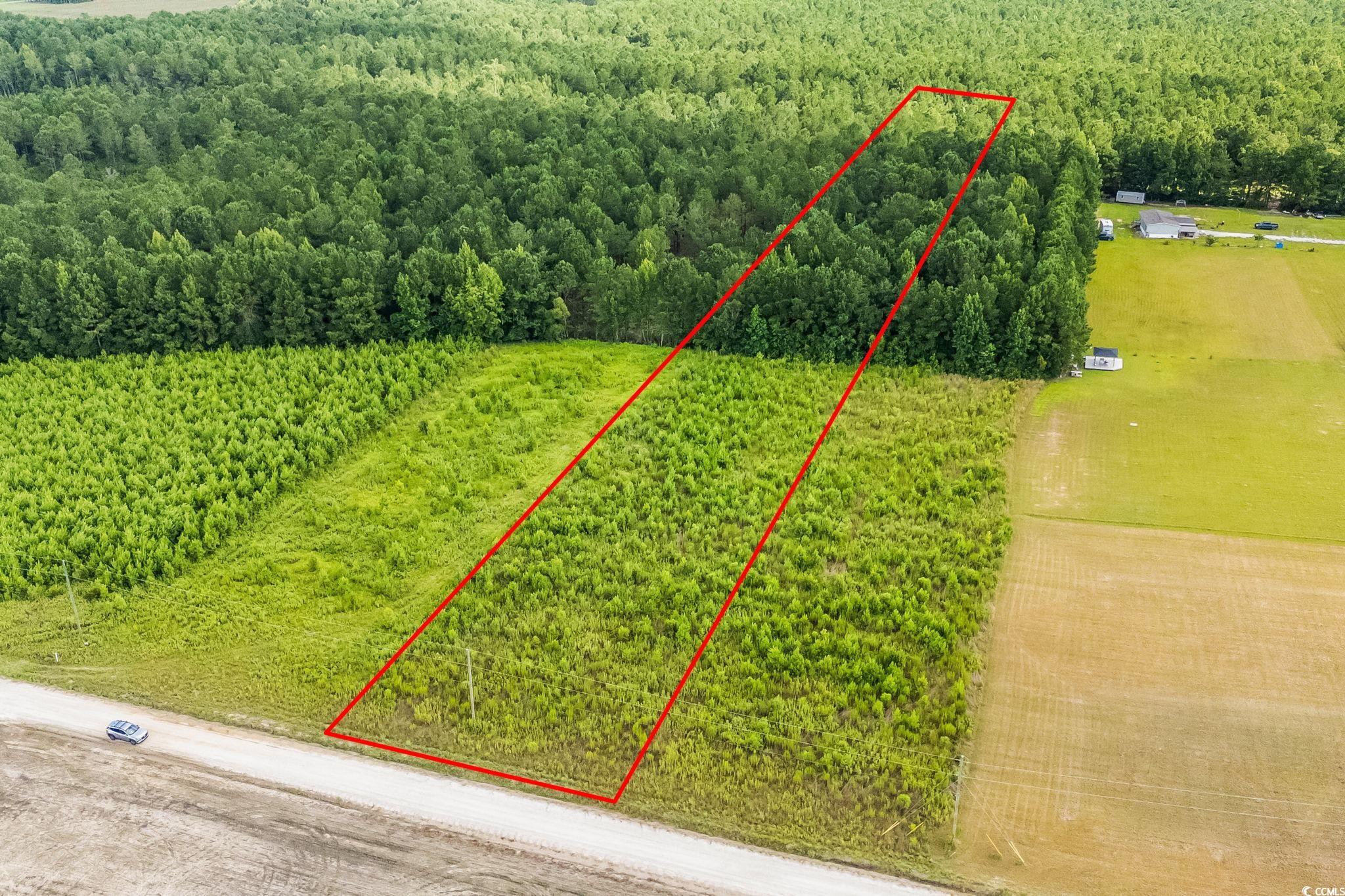 LOT 2 W G Rd., Conway, South Carolina image 7