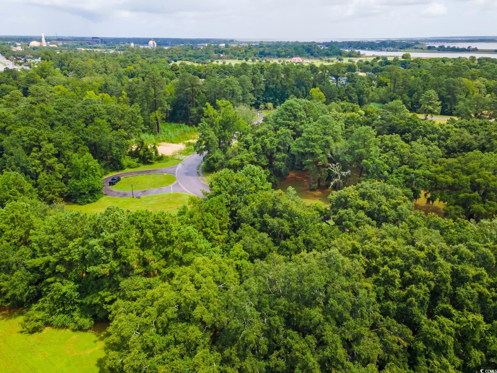 Oak Bay Dr., Georgetown, South Carolina image 7
