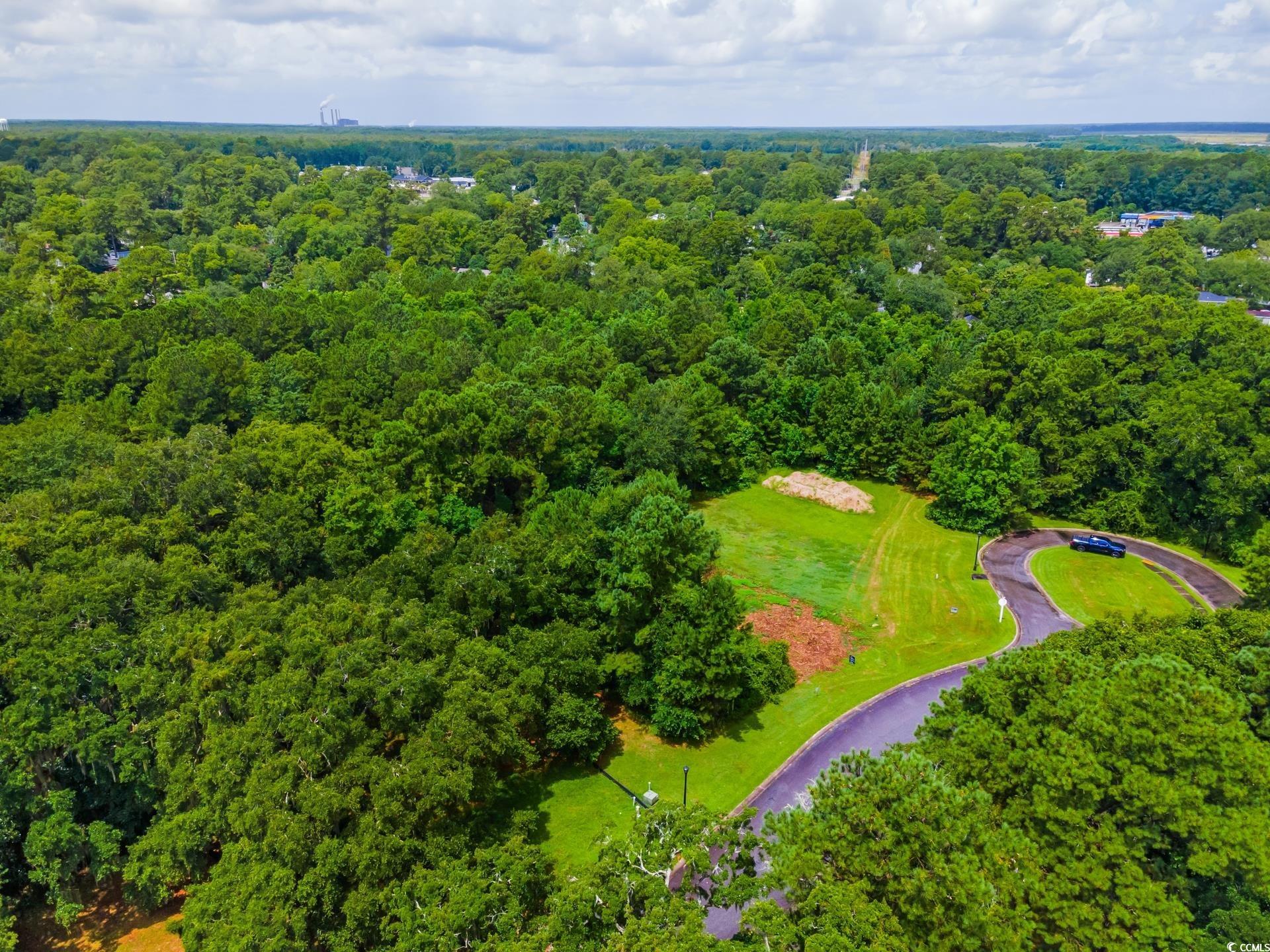 Oak Bay Dr., Georgetown, South Carolina image 9