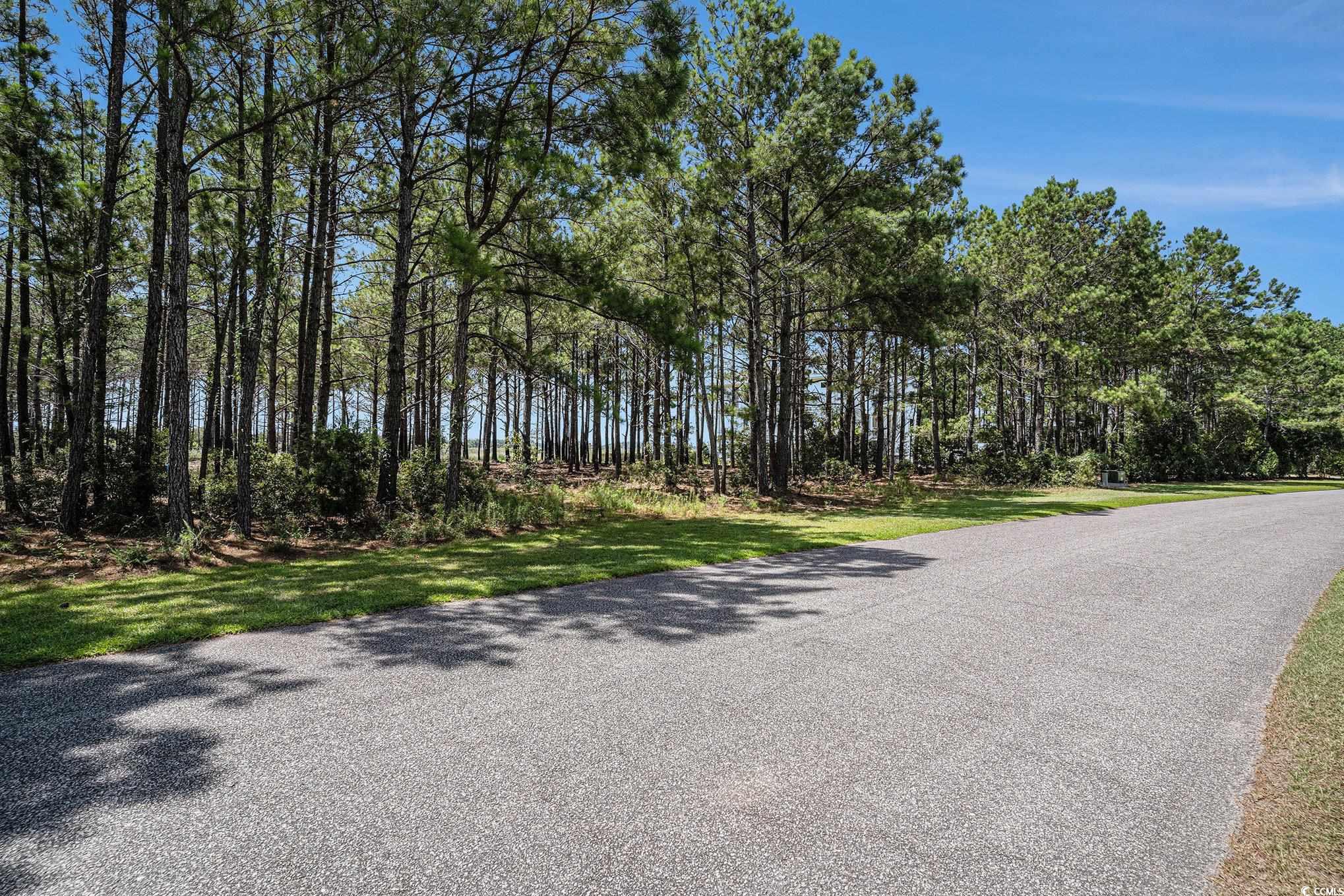 2862 Vanderbilt Blvd., Pawleys Island, South Carolina image 2