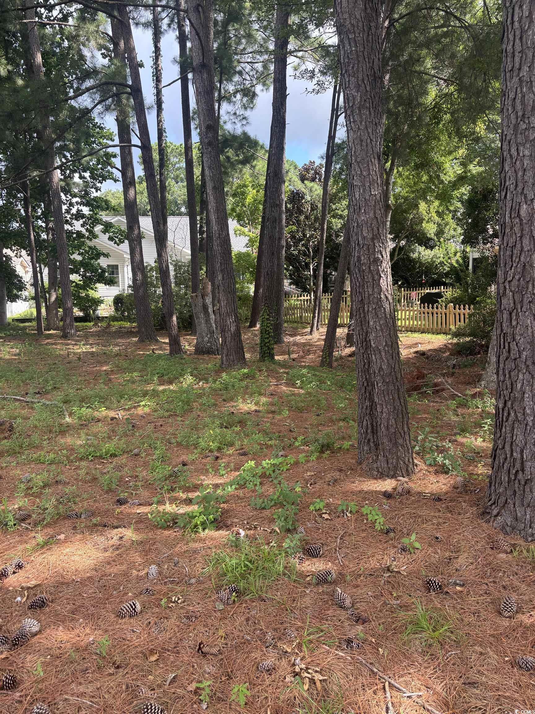 4172 Heather Lake Dr., Little River, South Carolina image 2