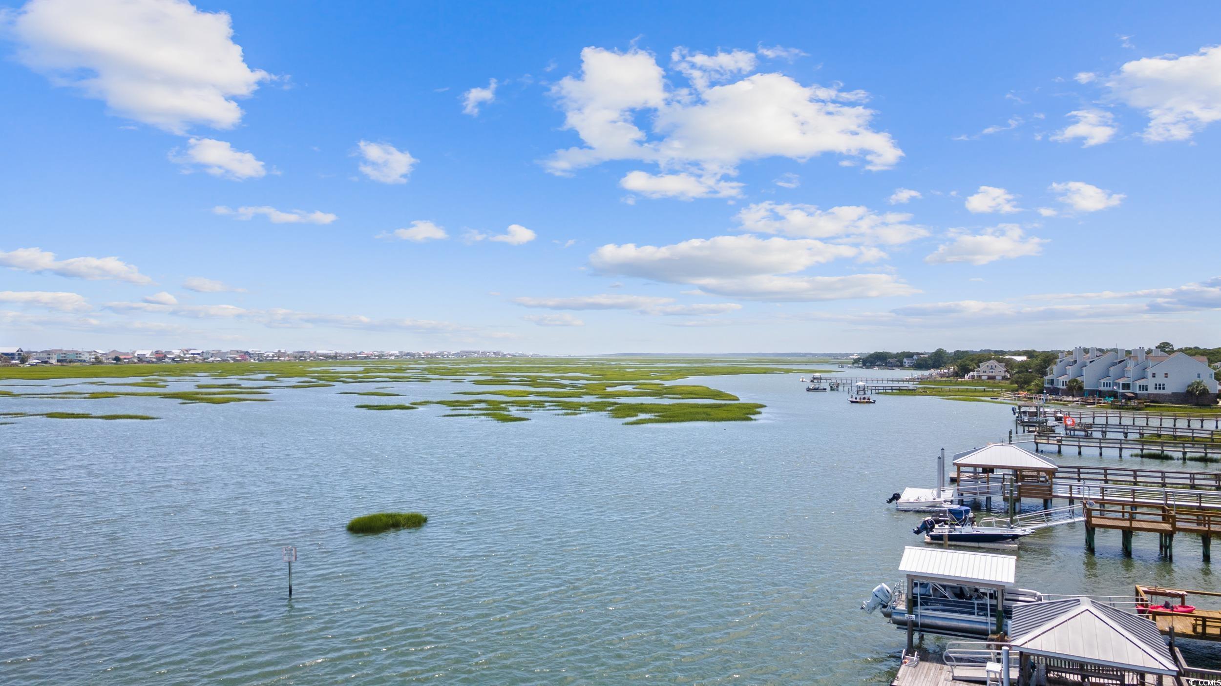 3117 1st Ave. S, Murrells Inlet, South Carolina image 10