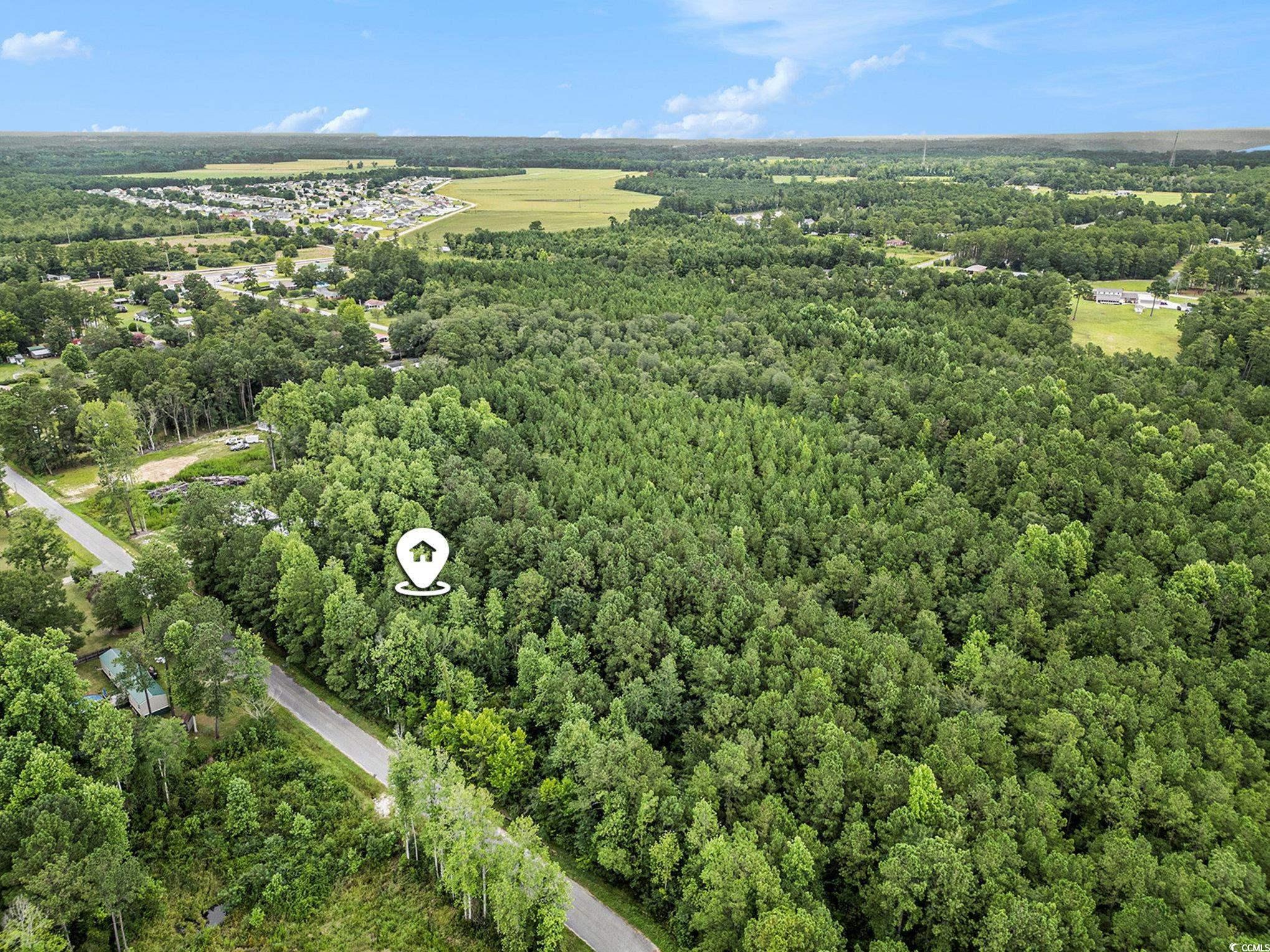175 Crepe Myrtle Dr. Loris, SC 29569