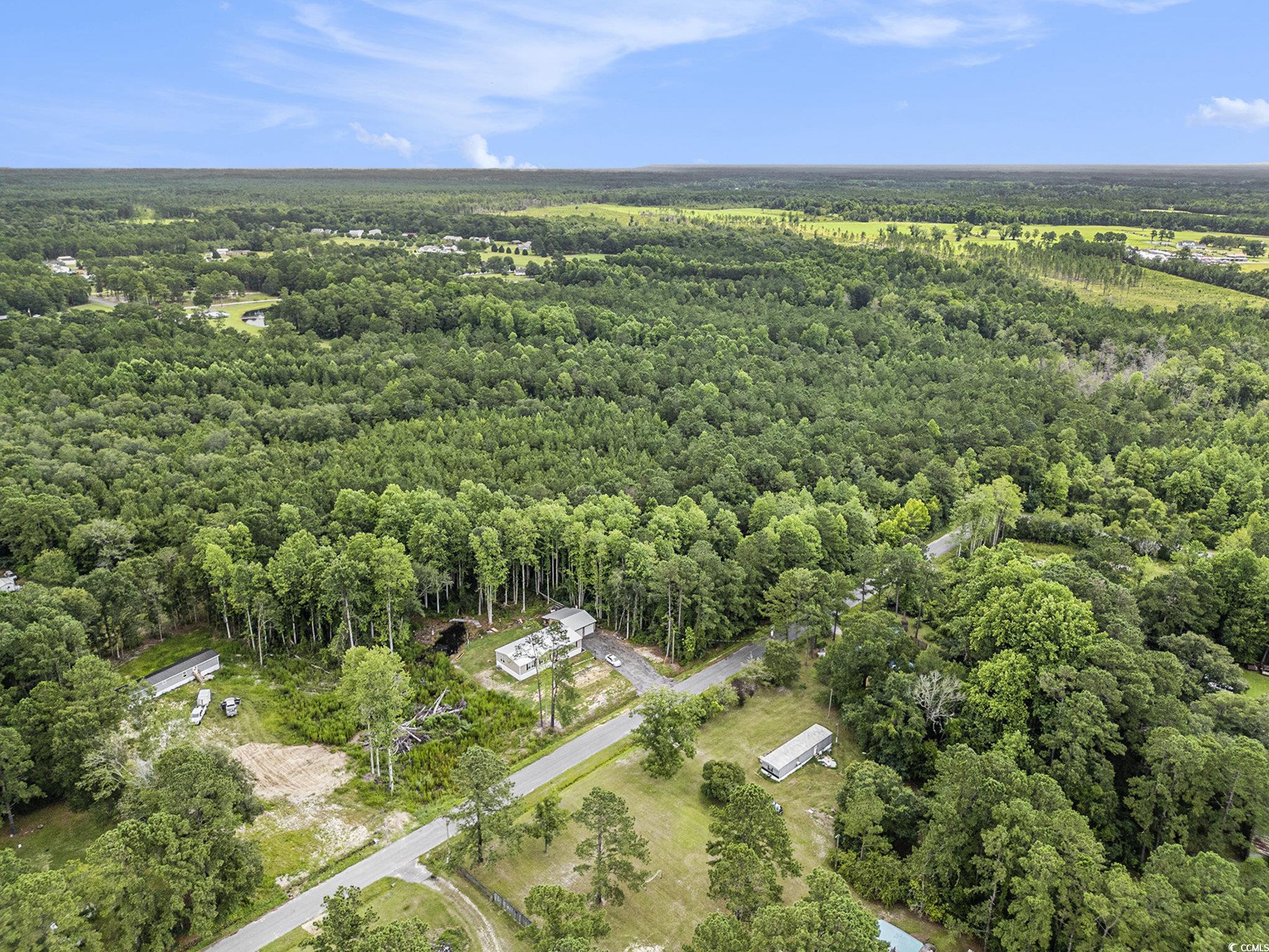 175 Crepe Myrtle Dr., Loris, South Carolina image 5
