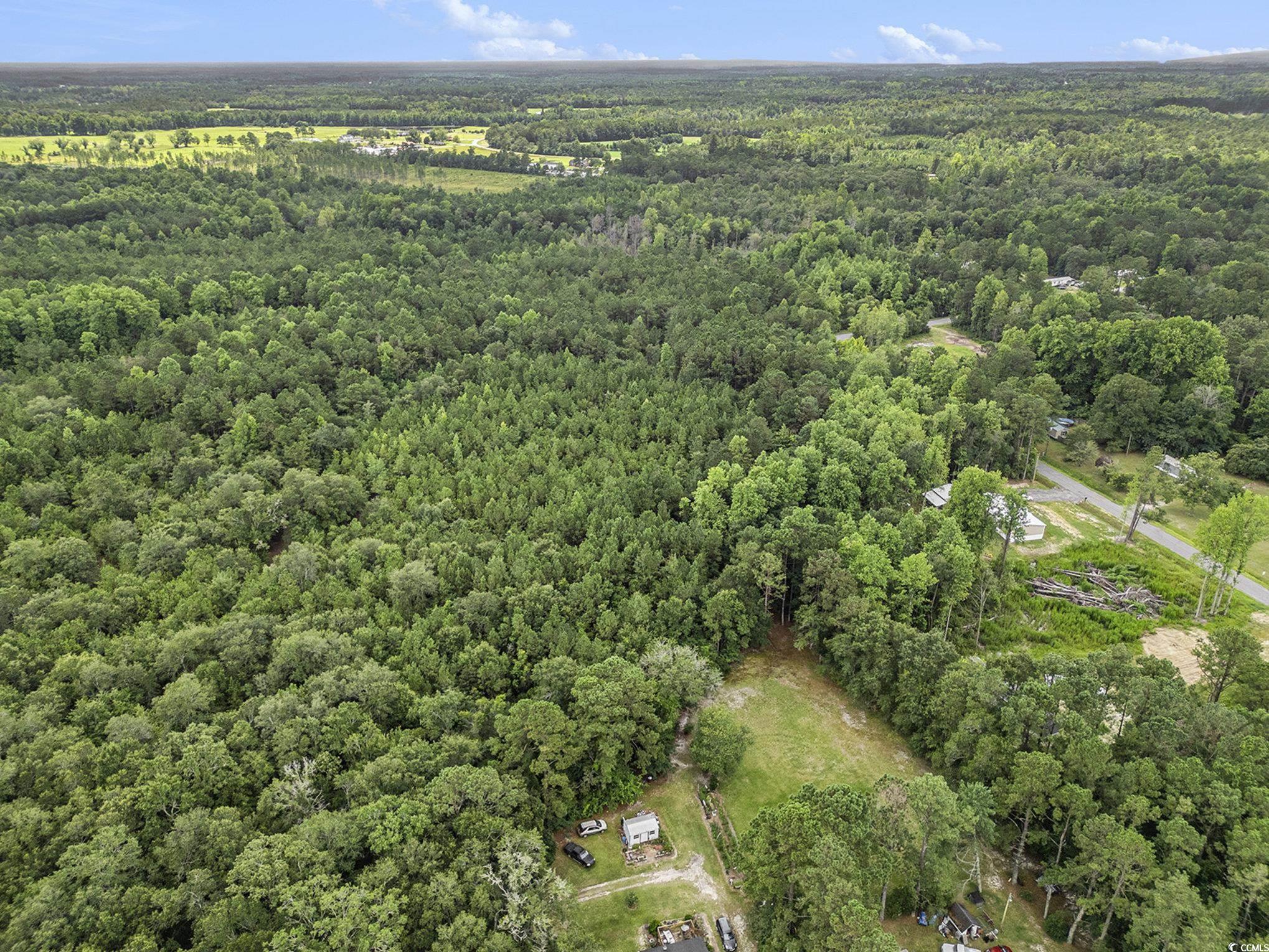 175 Crepe Myrtle Dr. Loris, SC 29569