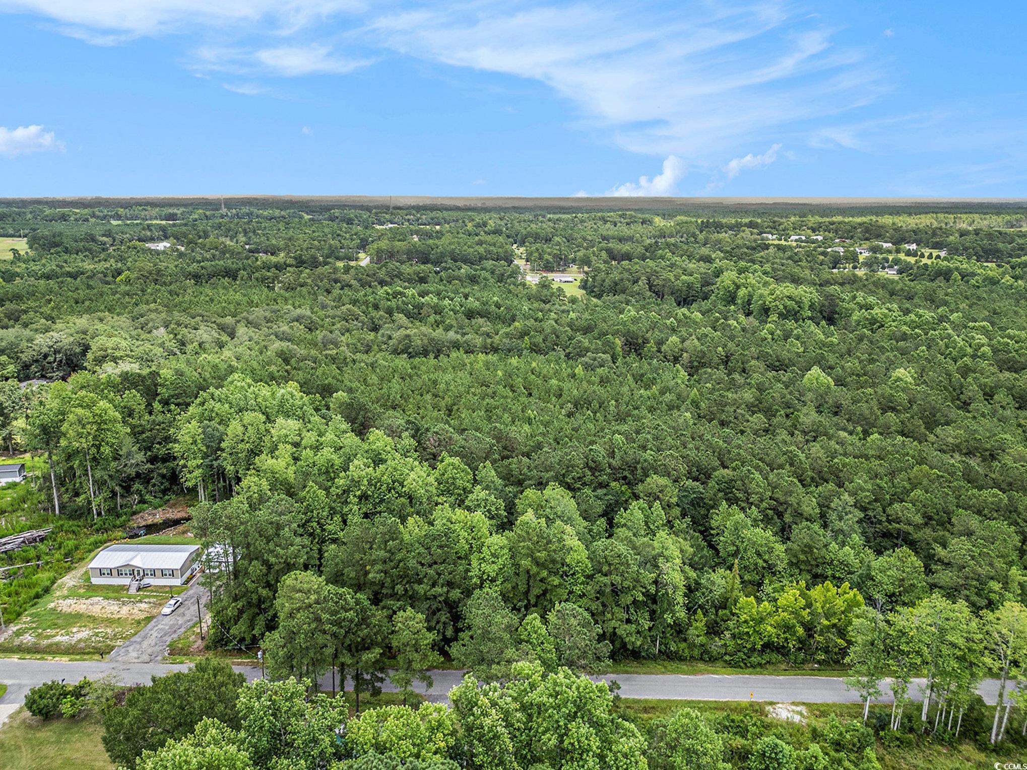 175 Crepe Myrtle Dr., Loris, South Carolina image 8