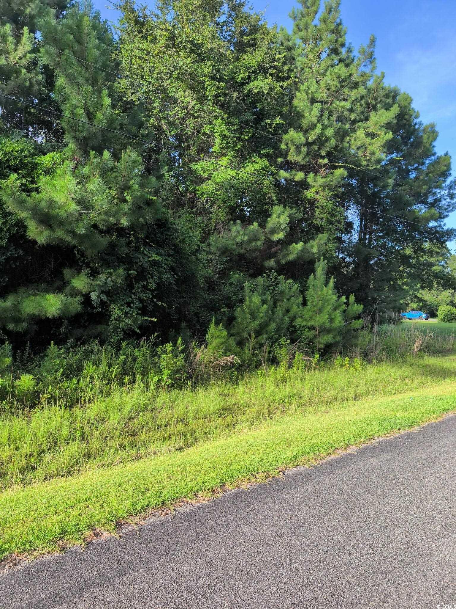 TBD Pecan Ln., Conway, South Carolina image 1
