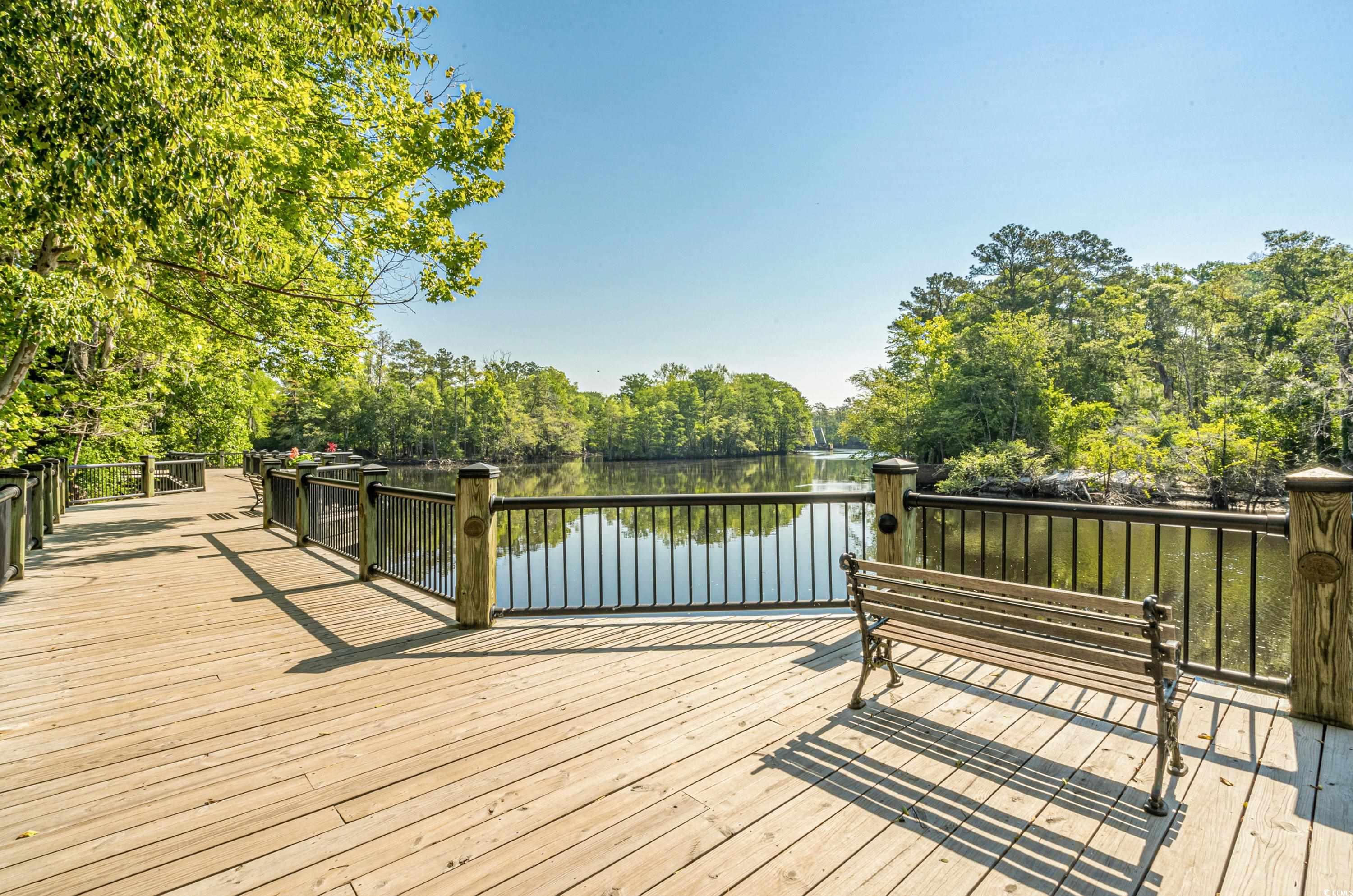340 Kiskadee Loop #B, Conway, South Carolina image 20