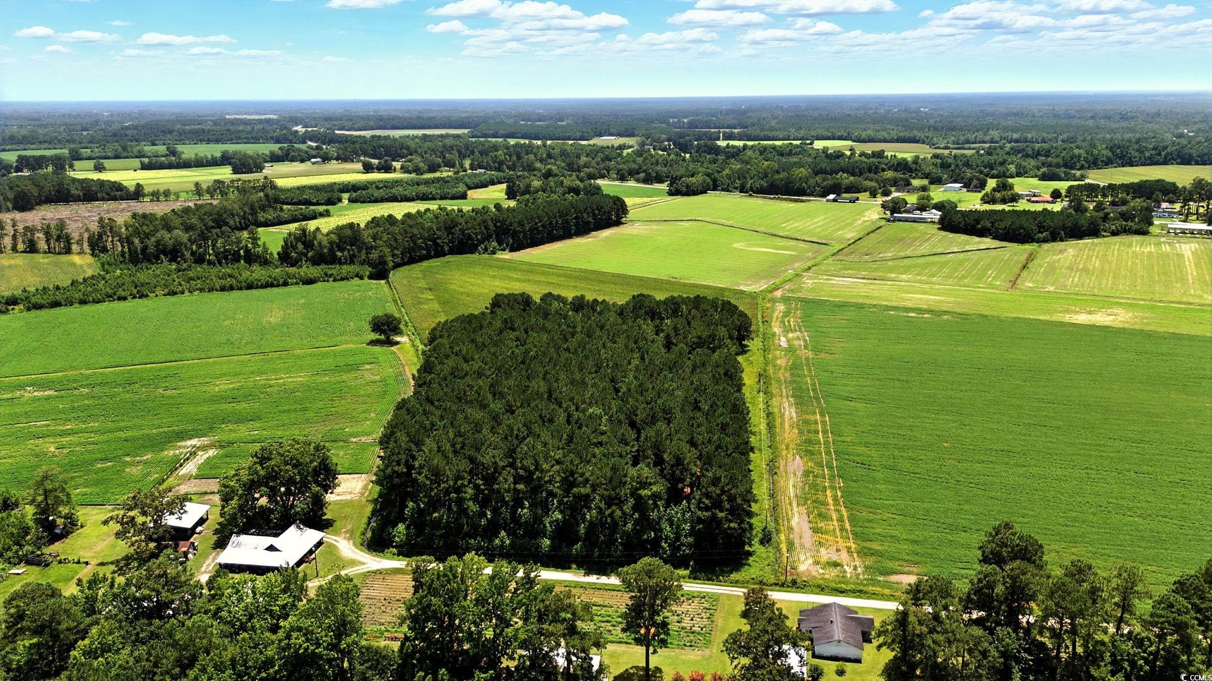 TBD Duford Rd., Nichols, South Carolina image 3