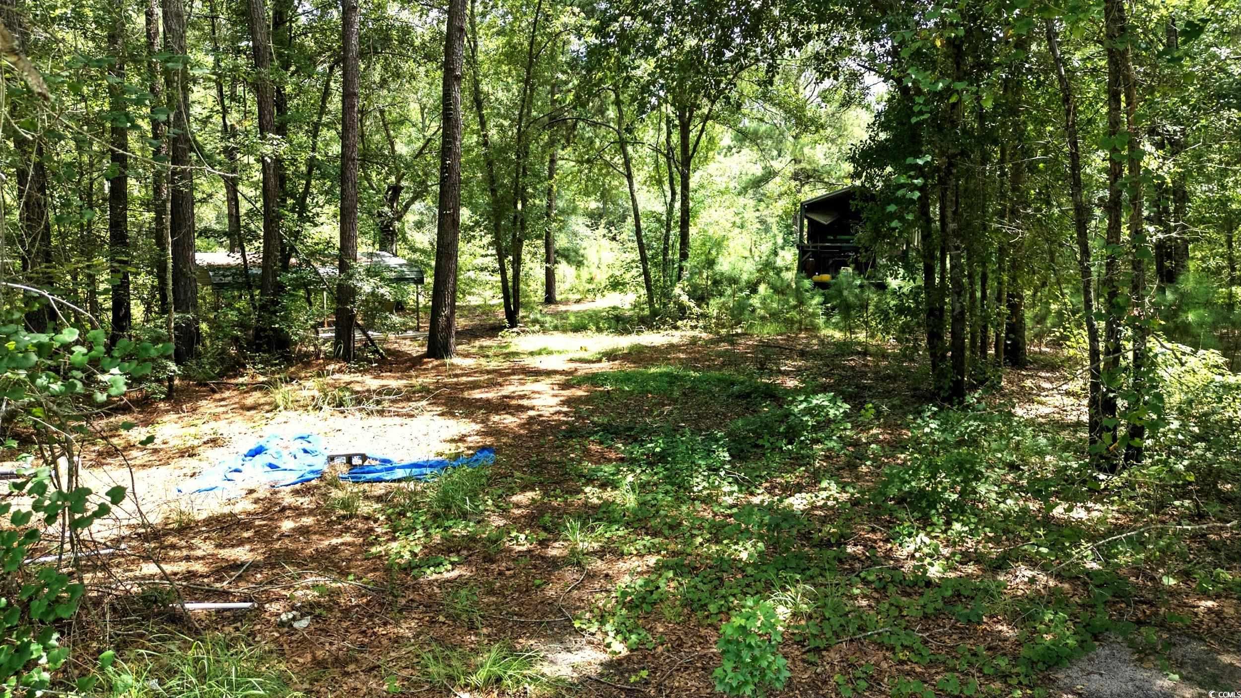 TBD Vance Ln., Nichols, South Carolina image 2