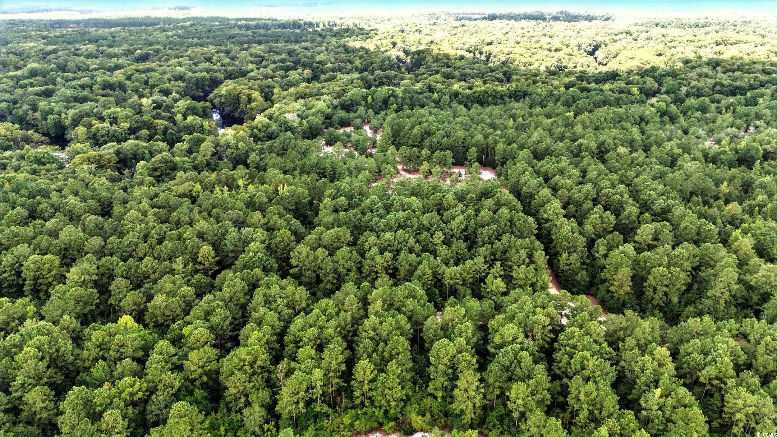 TBD Vance Ln., Nichols, South Carolina image 5