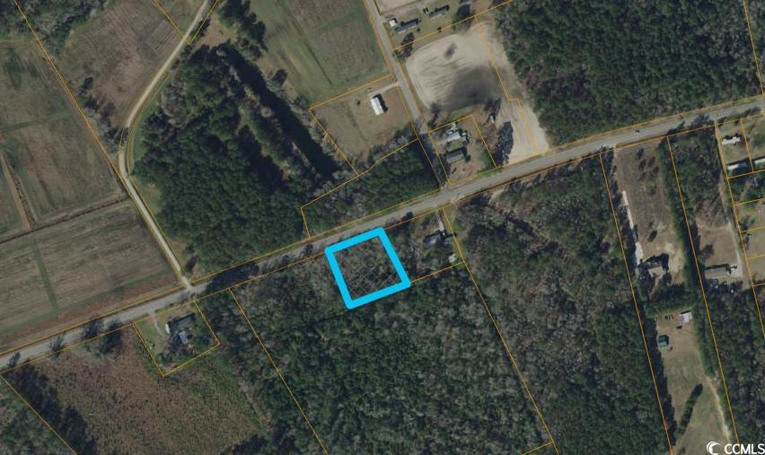 7015 Dongola Hwy. Conway, SC 29527