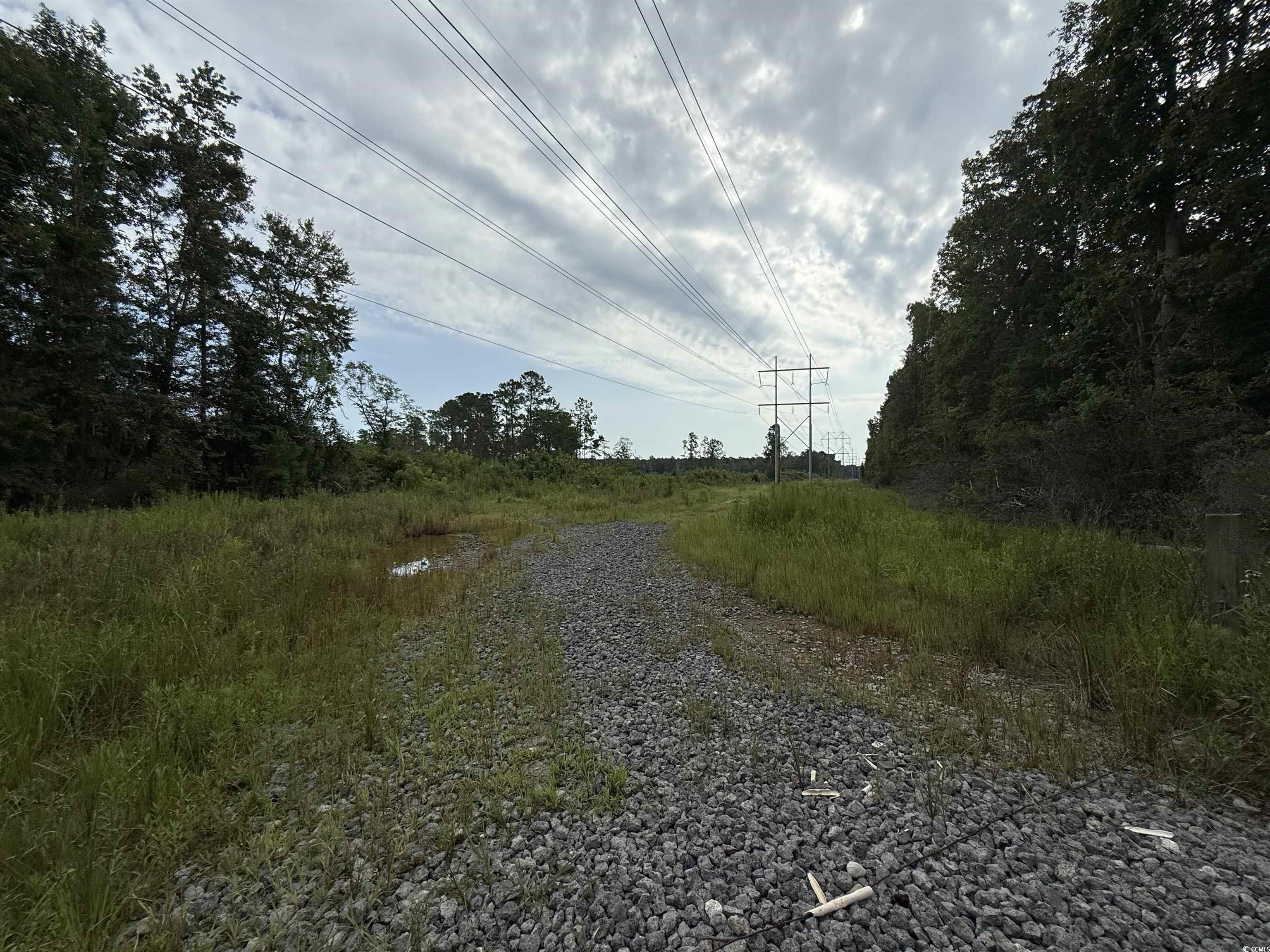 TBD Dukes Rd. Conway, SC 29526