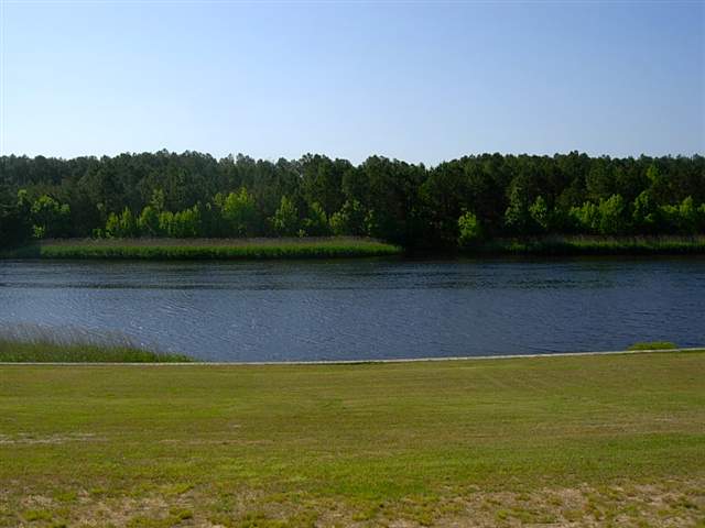 213 Ave. of the Palms Myrtle Beach, SC 29579