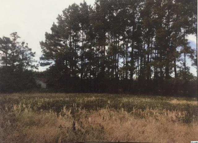 Wolf Trail Conway, SC 29526