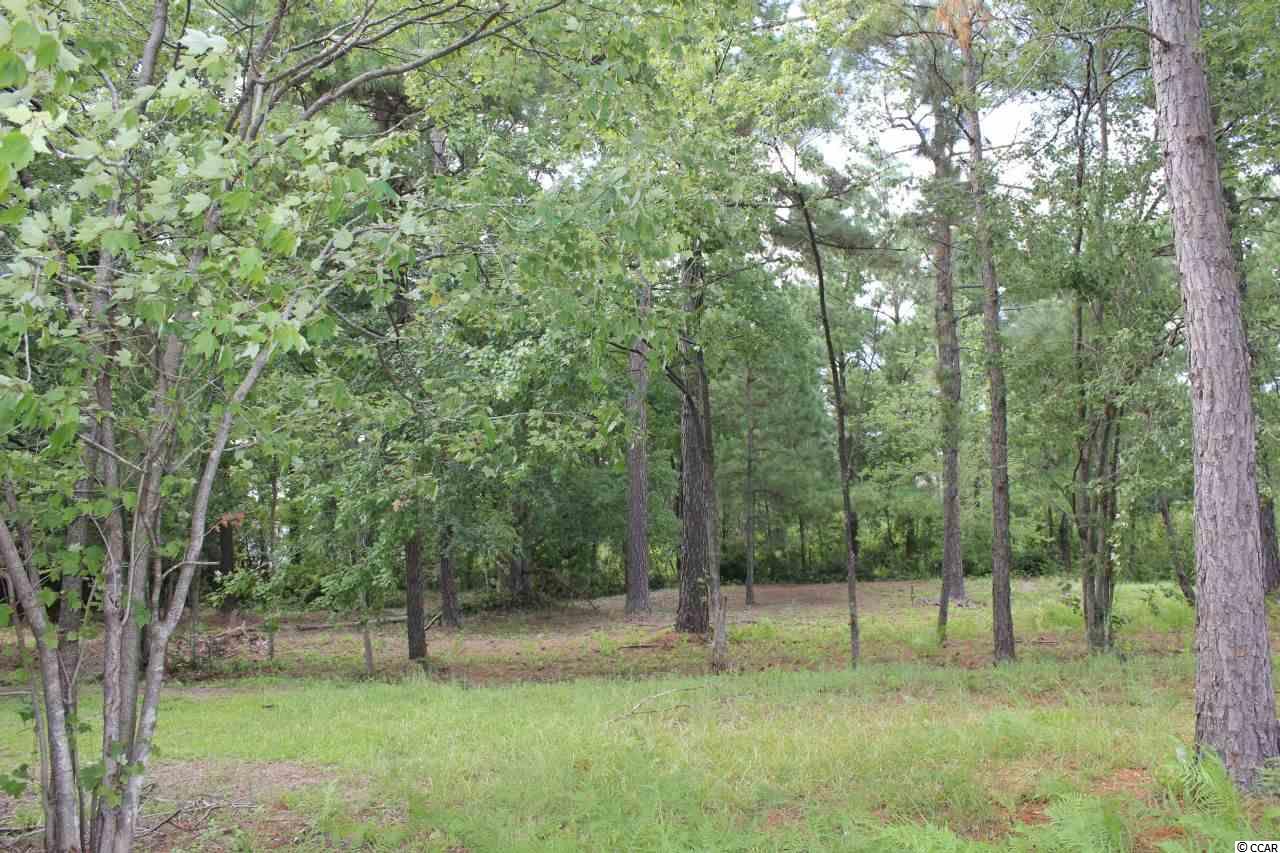 9162 Abington Dr. Myrtle Beach, SC 29579