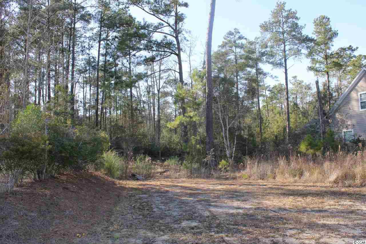 305 Saint Davids Ave. Myrtle Beach, SC 29588