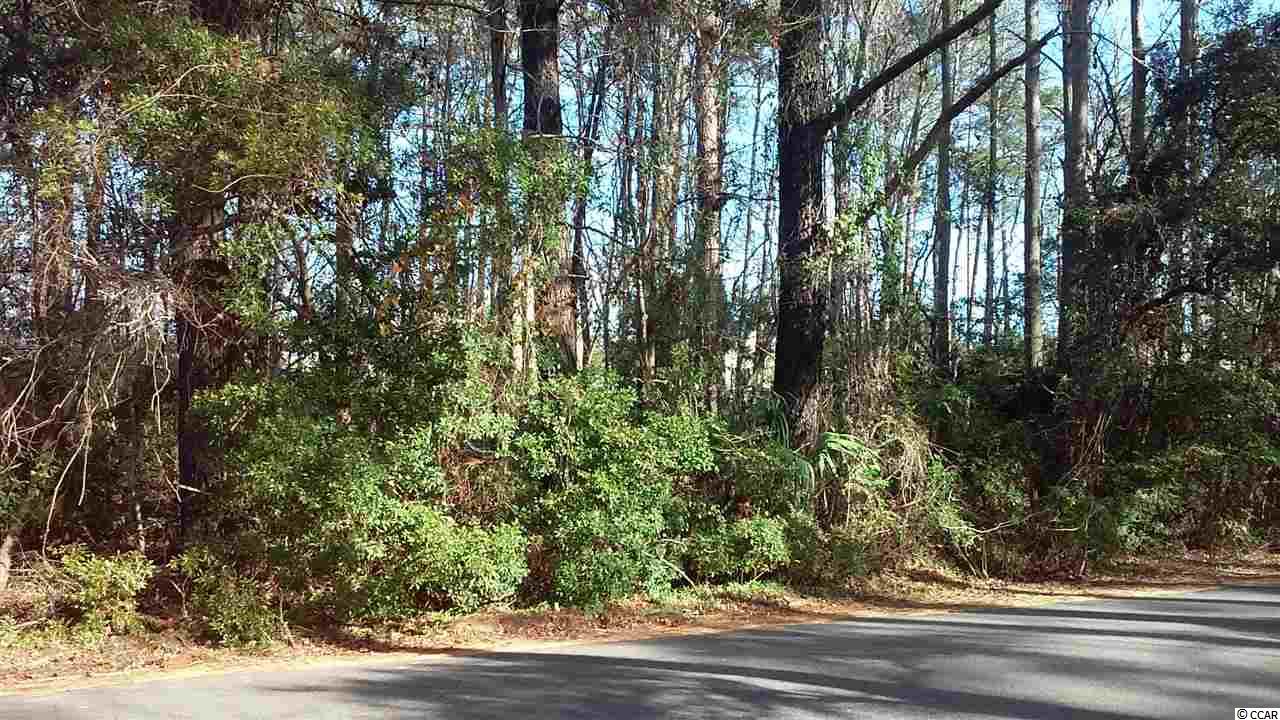 1544 Running Water Dr. Murrells Inlet, SC 29576