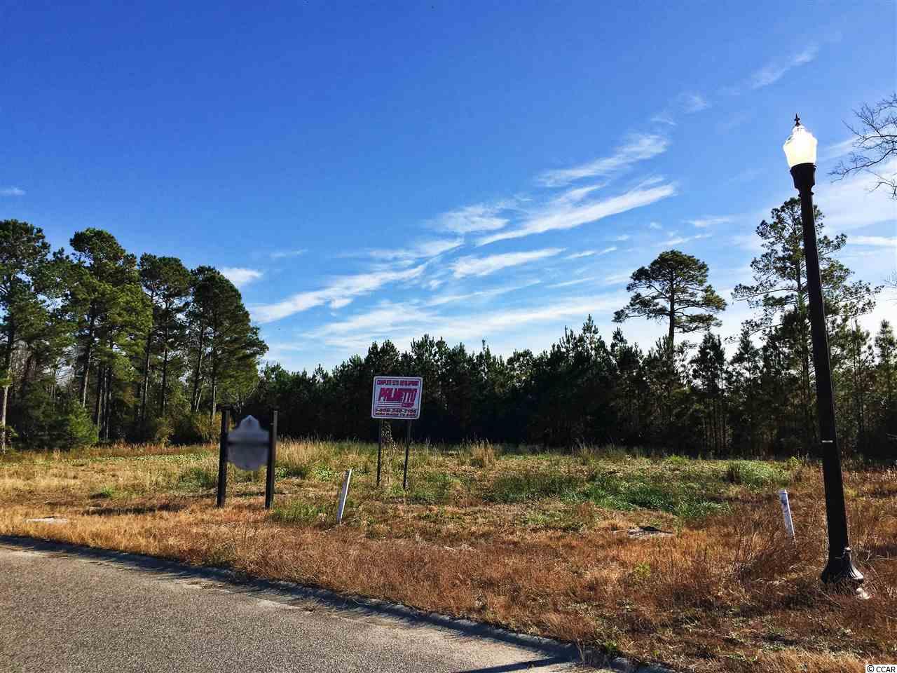 TBD Old River Rd., Murrells Inlet, South Carolina image 3