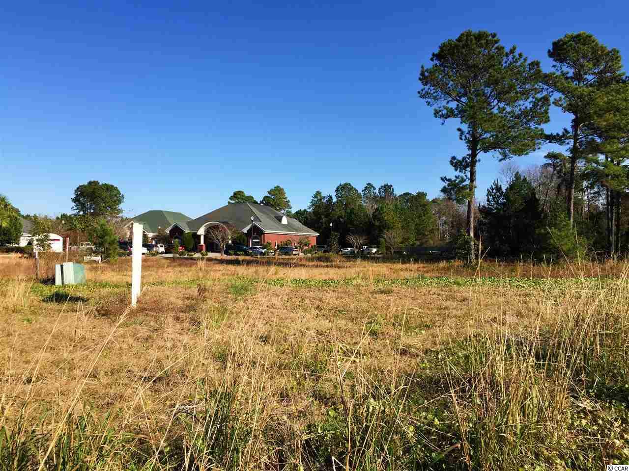 TBD Old River Rd., Murrells Inlet, South Carolina image 4