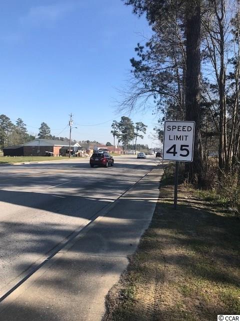 TBD Highway 501 Business, Aynor, South Carolina image 4