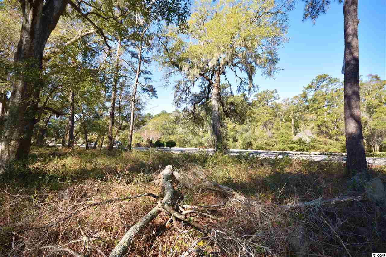 Ocean Hwy., Pawleys Island, South Carolina image 10