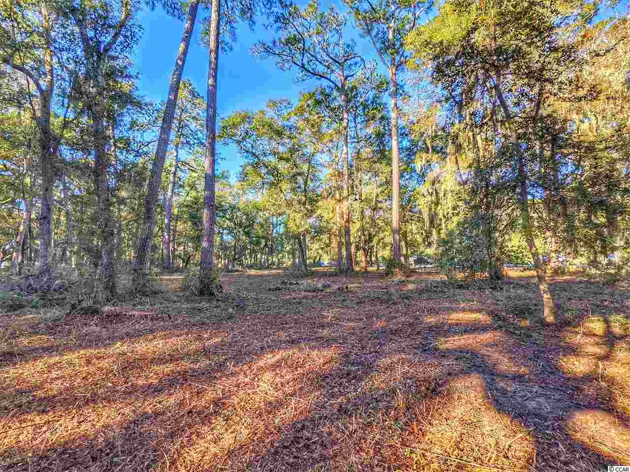 Ocean Hwy., Pawleys Island, South Carolina image 14