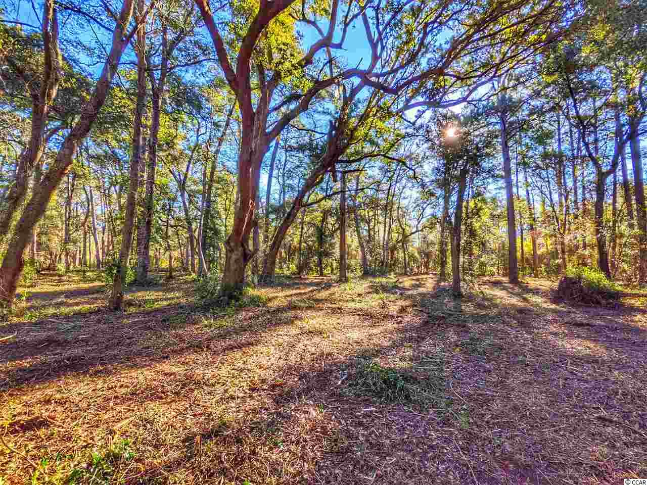 Ocean Hwy., Pawleys Island, South Carolina image 18