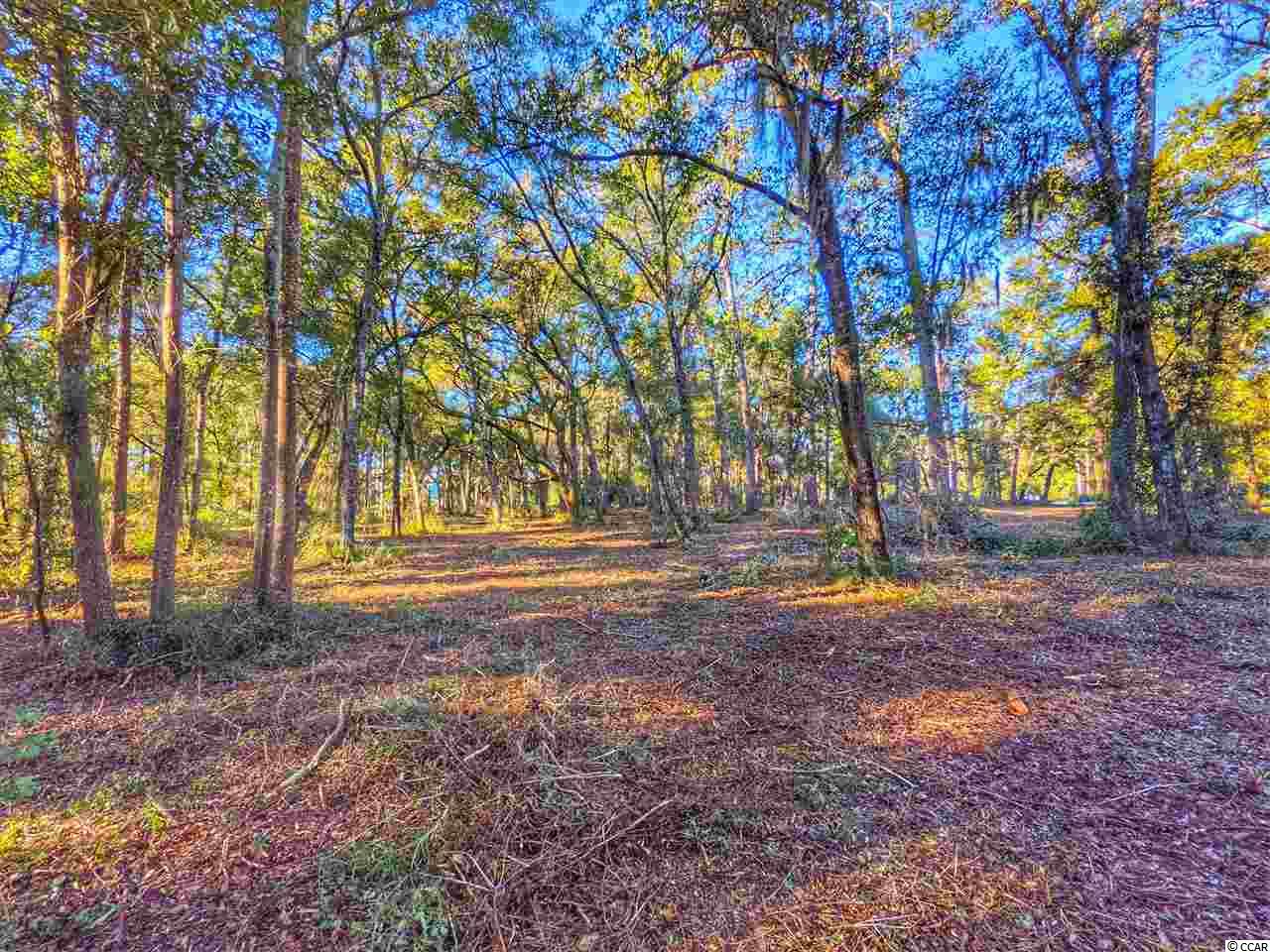 Ocean Hwy., Pawleys Island, South Carolina image 19