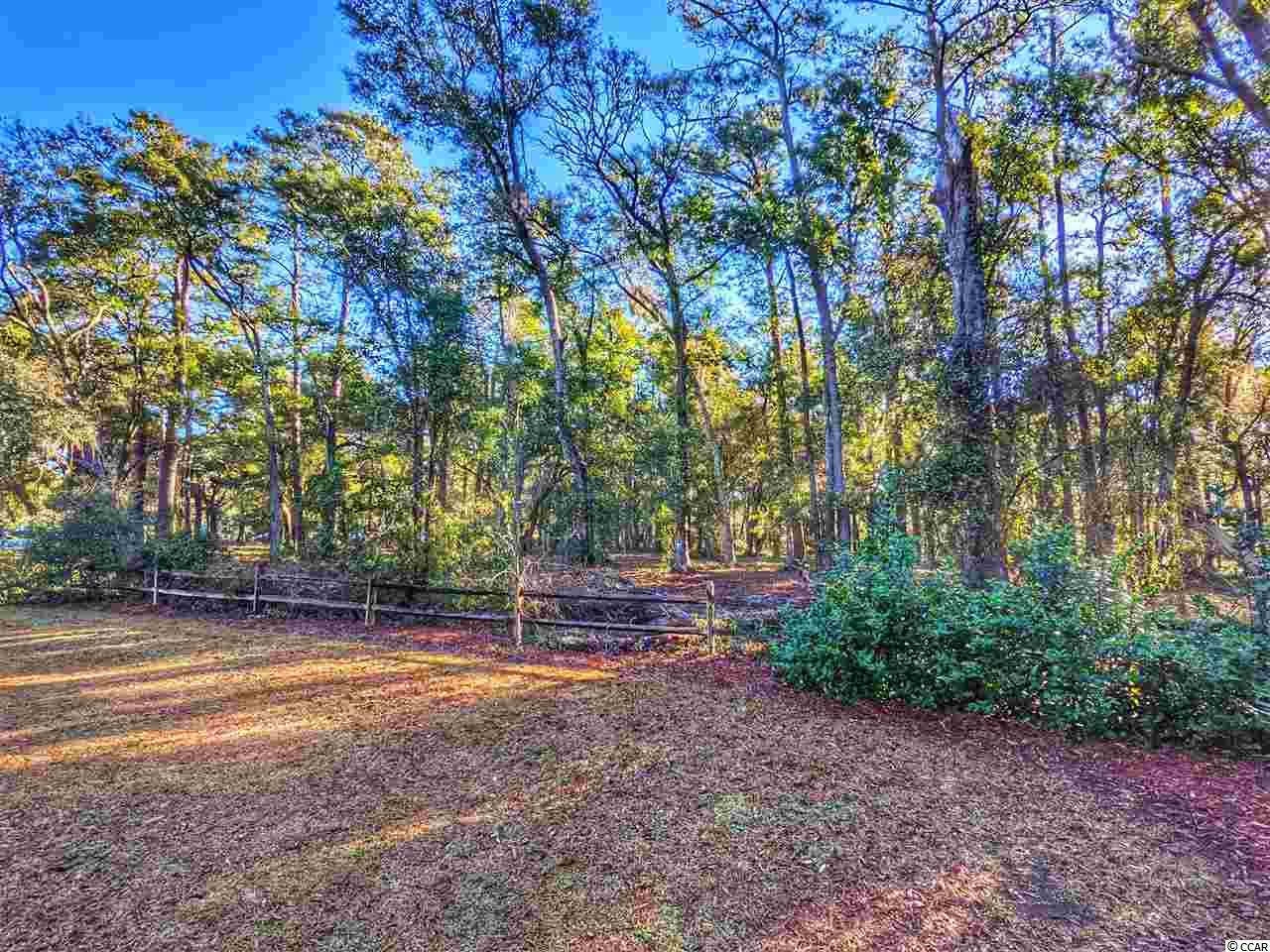 Ocean Hwy., Pawleys Island, South Carolina image 2