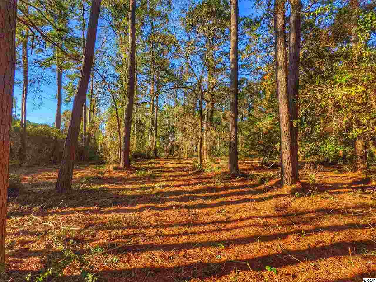 Ocean Hwy., Pawleys Island, South Carolina image 23