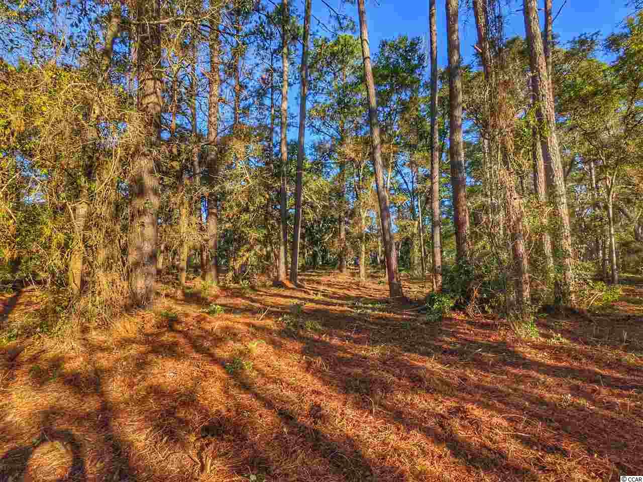 Ocean Hwy., Pawleys Island, South Carolina image 25