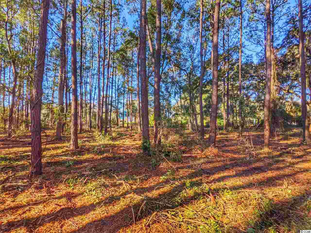 Ocean Hwy., Pawleys Island, South Carolina image 30