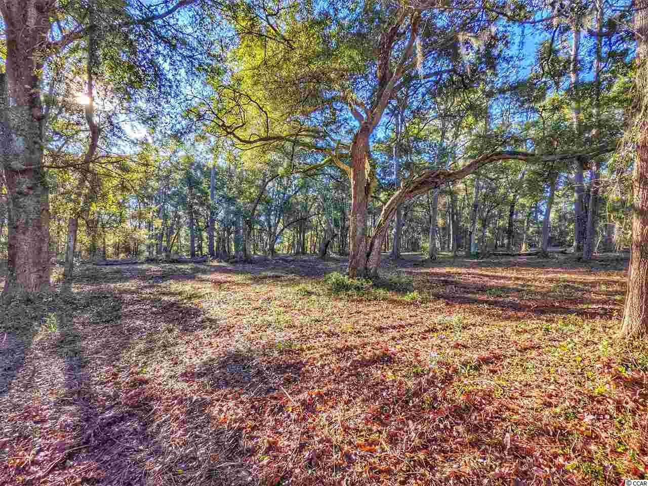 Ocean Hwy., Pawleys Island, South Carolina image 4