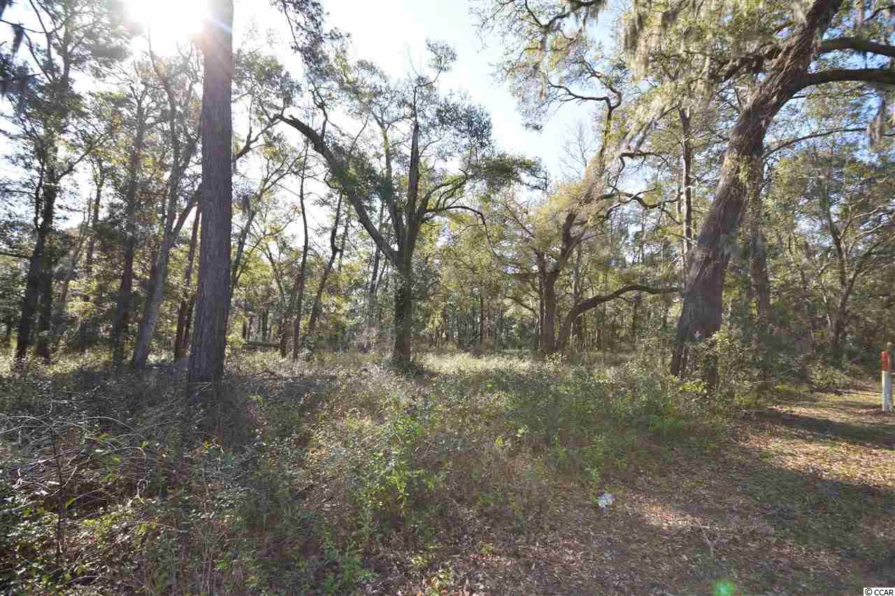 Ocean Hwy., Pawleys Island, South Carolina image 7